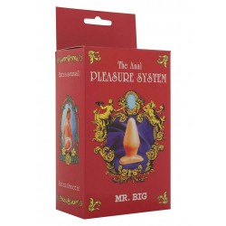 Plug Anale Mr. Big Anal...