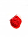 Rosenstring Rosa con Perizoma Rosso misura S/L